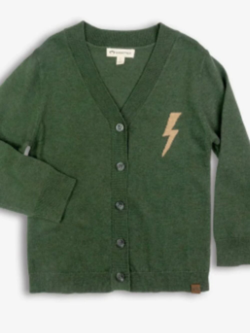 Appaman - Everstorm Knit Cardigan (Pine)